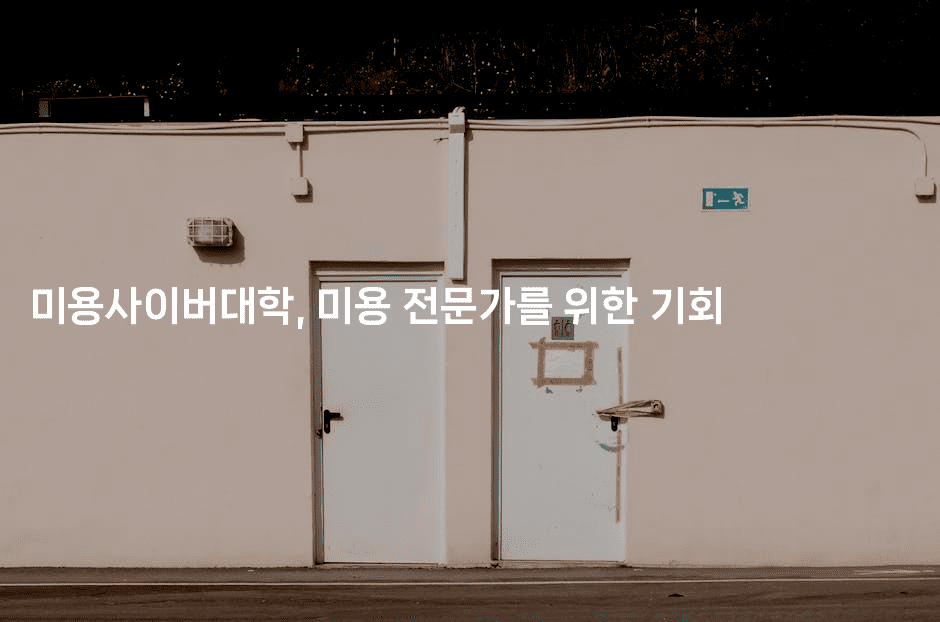 미용사이버대학, 미용 전문가를 위한 기회 2-메이핑