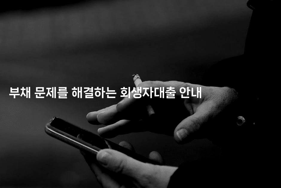 부채 문제를 해결하는 회생자대출 안내-메이핑