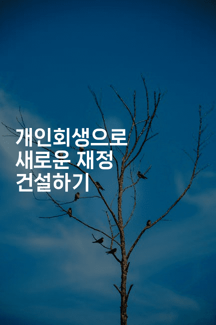 개인회생으로 새로운 재정 건설하기