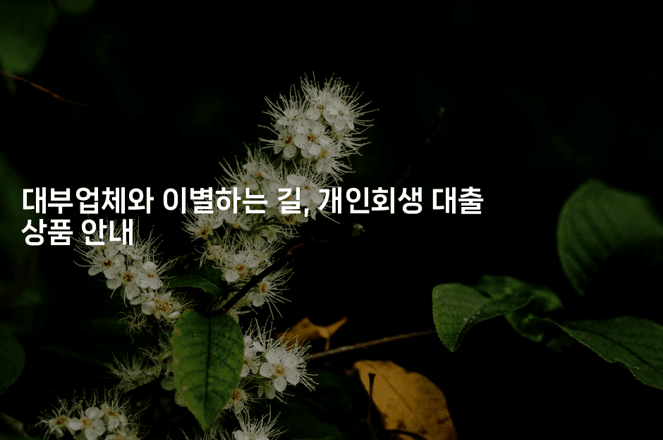 대부업체와 이별하는 길, 개인회생 대출 상품 안내