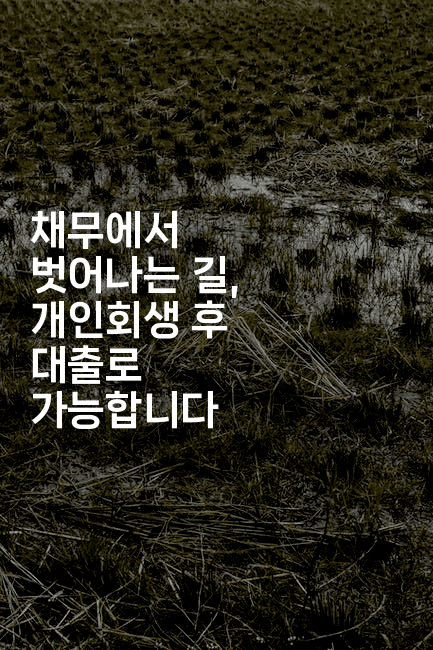 채무에서 벗어나는 길, 개인회생 후 대출로 가능합니다-메이핑