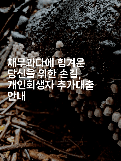 채무과다에 힘겨운 당신을 위한 손길, 개인회생자 추가대출 안내-메이핑