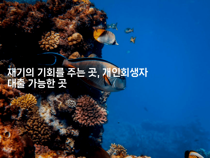 재기의 기회를 주는 곳, 개인회생자 대출 가능한 곳-메이핑