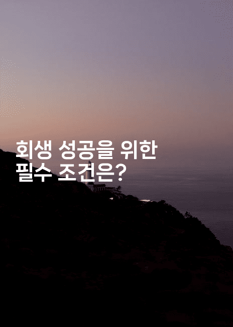 회생 성공을 위한 필수 조건은?-메이핑