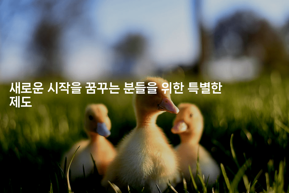 새로운 시작을 꿈꾸는 분들을 위한 특별한 제도-메이핑