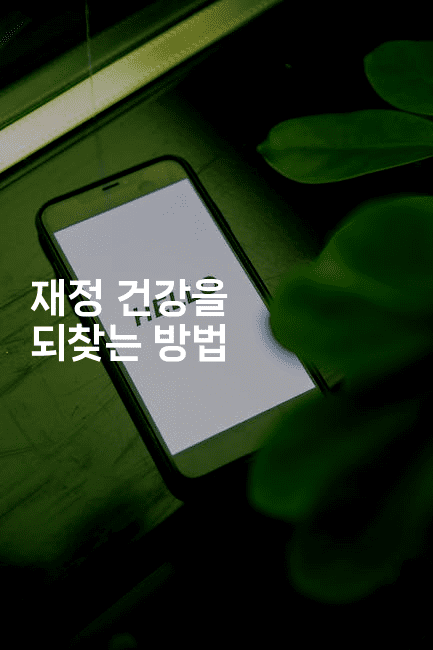 재정 건강을 되찾는 방법-메이핑