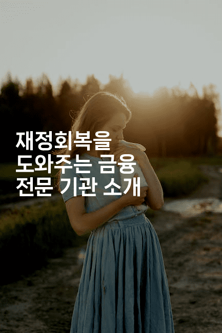 재정회복을 도와주는 금융 전문 기관 소개-메이핑