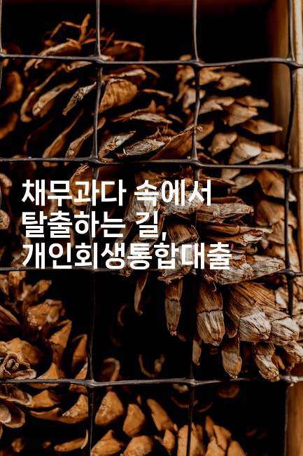 채무과다 속에서 탈출하는 길, 개인회생통합대출