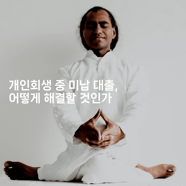 개인회생 중 미납 대출, 어떻게 해결할 것인가-메이핑