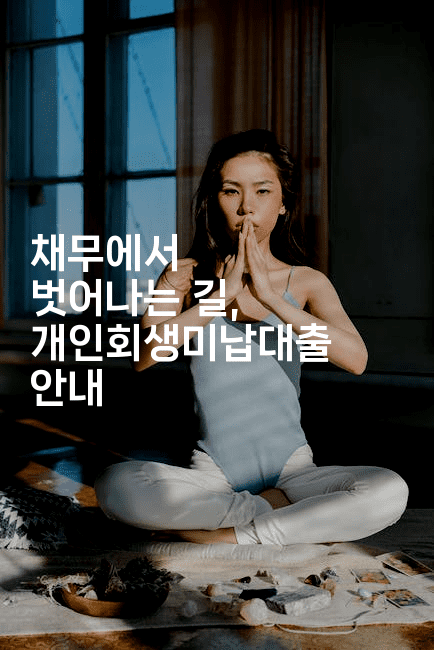 채무에서 벗어나는 길, 개인회생미납대출 안내-메이핑